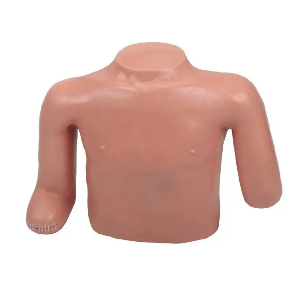 Medical Skull Model Company for Medical GradeINNORKOM 3