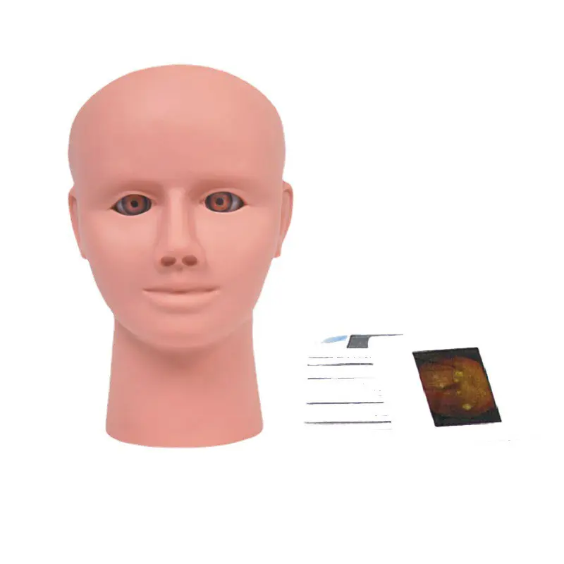 Medical Educational Models Manufacturer for Operating RoomINC-203M 3