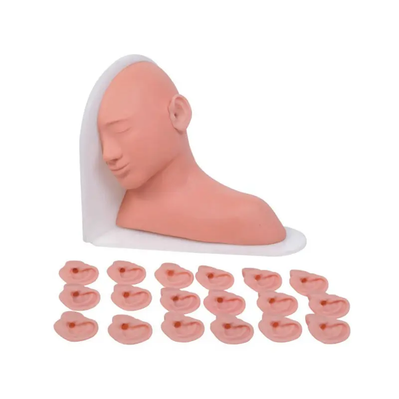 Sterile and Corrosion Resistant Medical Educational Models Price List 3