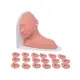 Sterile and Corrosion Resistant Medical Educational Models Price List 3