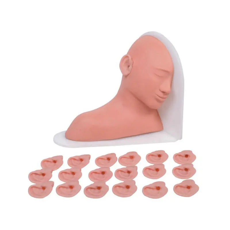 Sterile and Corrosion Resistant Medical Educational Models Price List 2