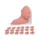 Sterile and Corrosion Resistant Medical Educational Models Price List 2