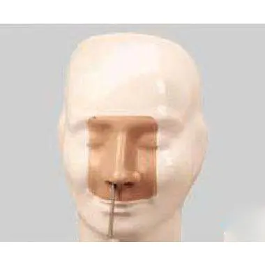 Medical Anatomy Models INNORKOM - for Medical Grade - INNORKOM 2