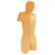 Skeleton Anatomy Model for Operating Room INNORKOMmanufacturer 2