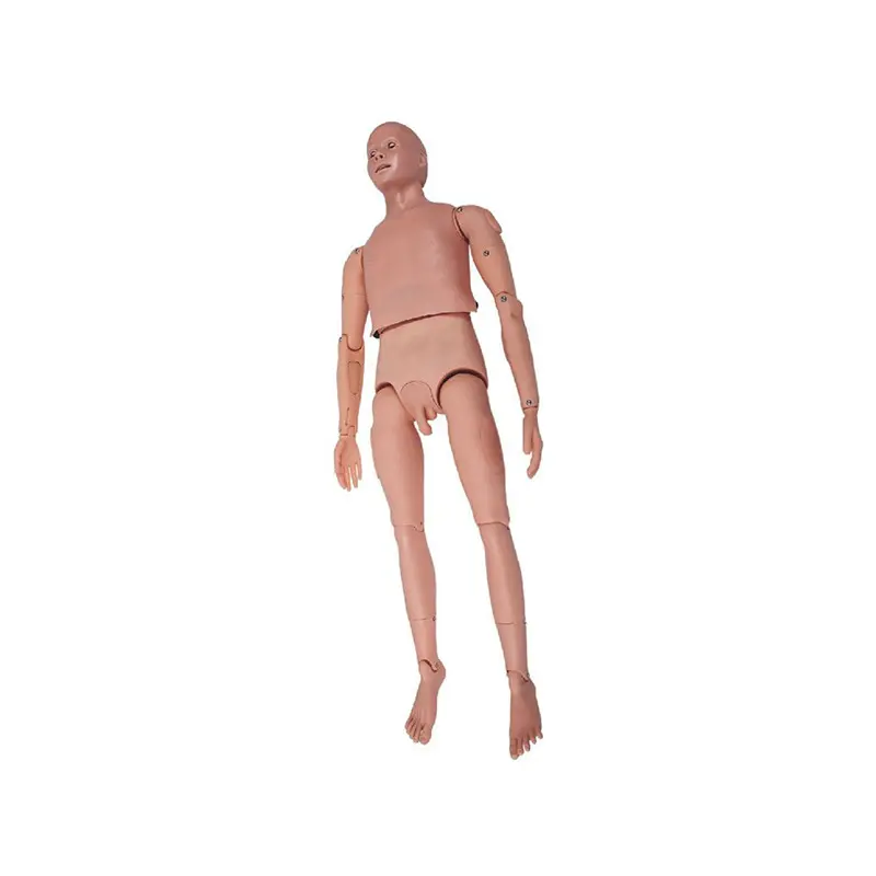 Medical 3d Models INNORKOM INC-208Mfactory 2