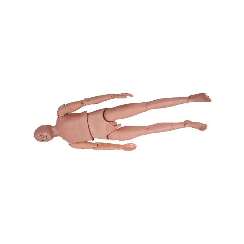 Medical 3d Models INNORKOM INC-208Mfactory 3