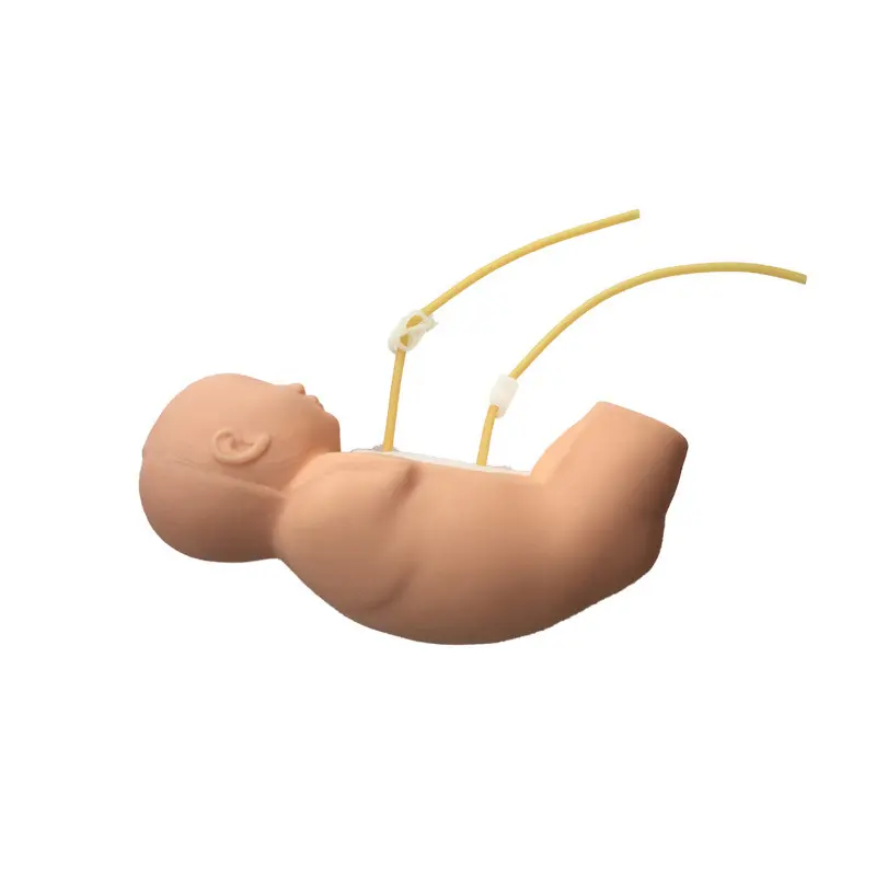 Medical Educational Models INNORKOM INC-VM09company 2