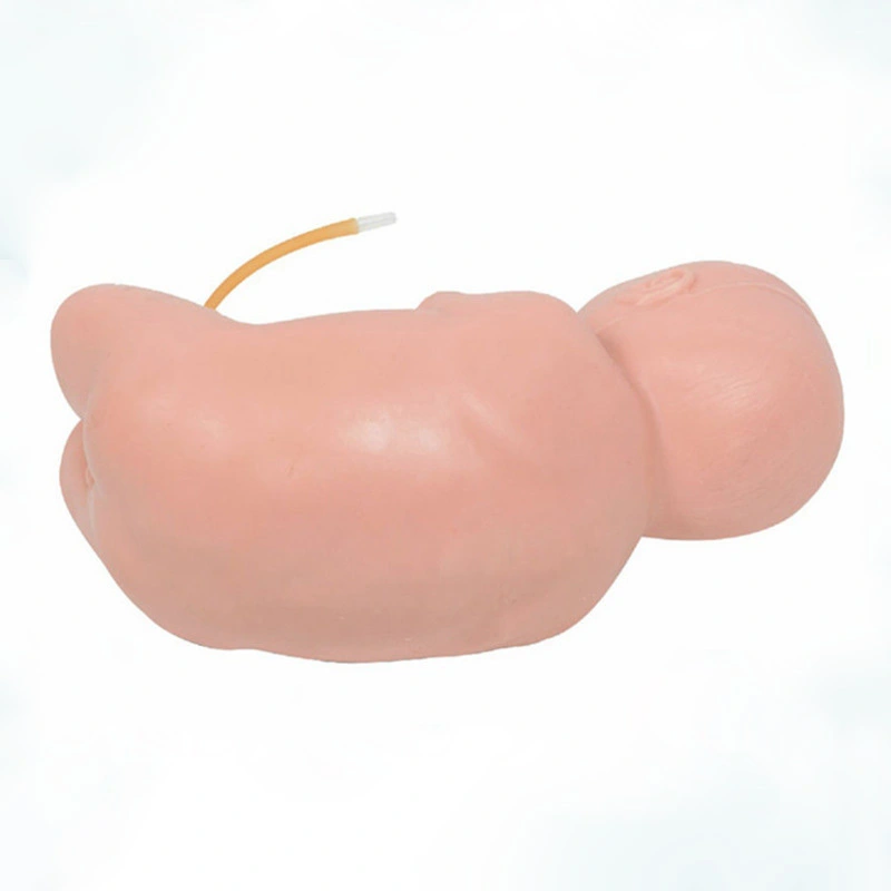 Neonatal Lumbar Puncture Model | INNORKOM 1