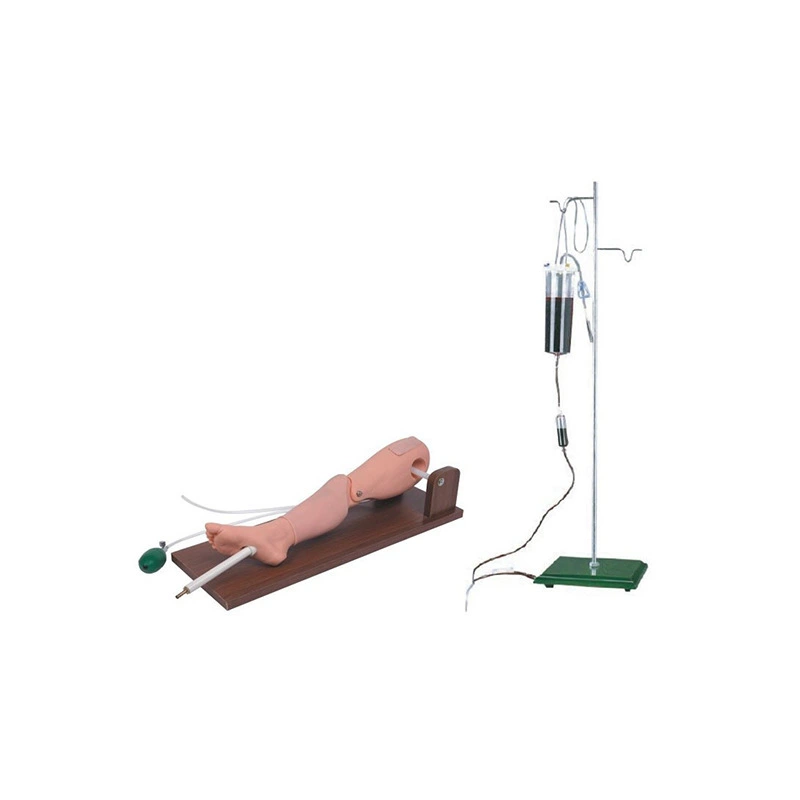 Bone Marrow Puncture and Femoral Venipuncture Model | INNORKOM 1