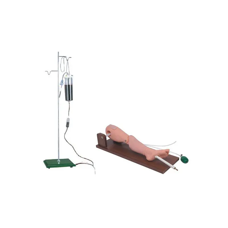 Medical Skull Model Supplier for Operating RoomINNORKOM 2