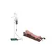 Medical Skull Model Supplier for Operating RoomINNORKOM 2