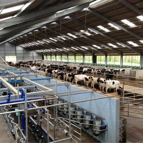 2025 Steel Structure Prefab Building Cow Sheep Cattle Dairy Goat House Farm Sheds 1