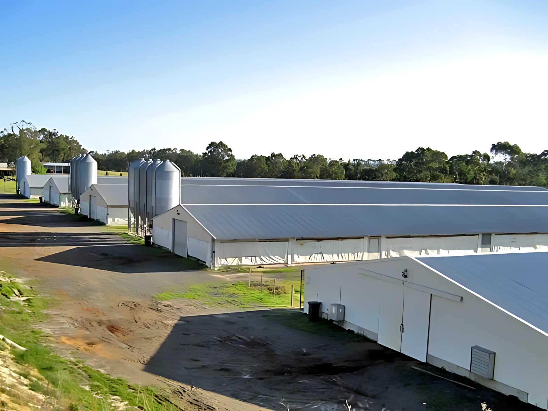2025 Cheap Construction Steel Structure Shed Poultry Farm Chicken House Commercial Egg Chicken House For Sale steel structure buildings 1