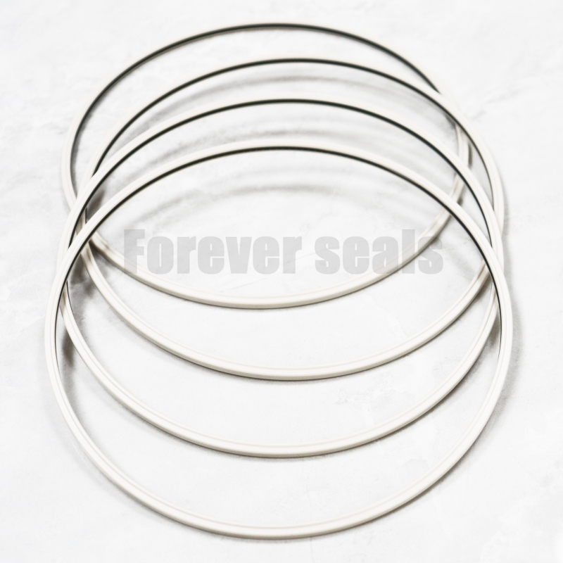 Sealing ring inside the valve seat API 6A 1