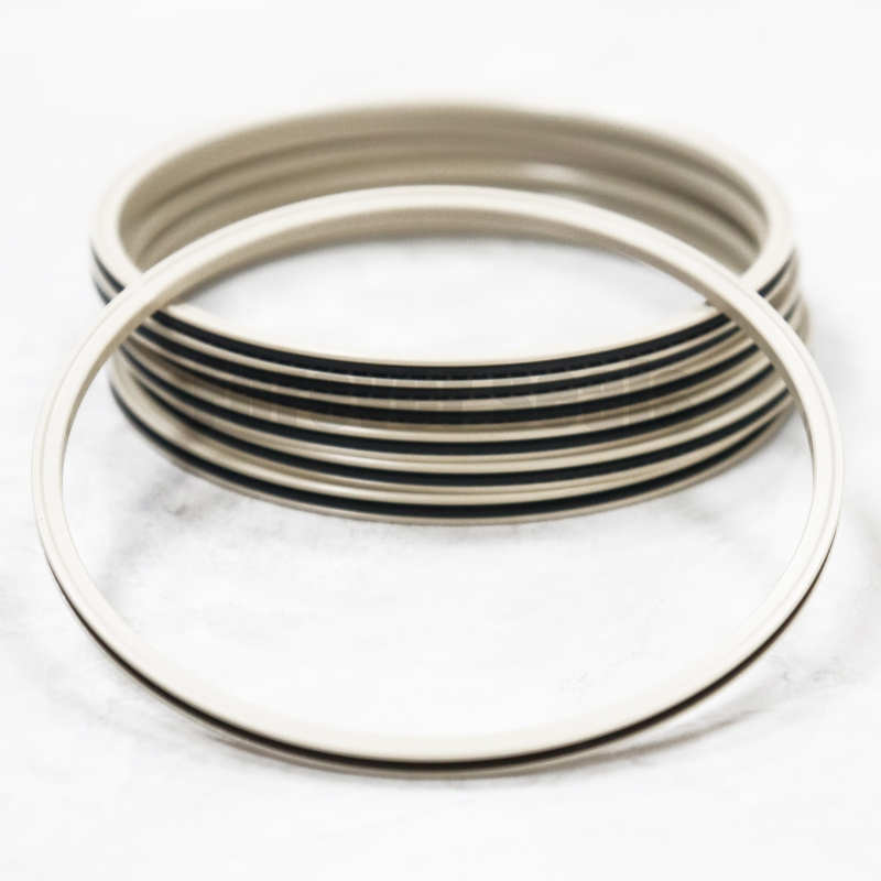 Sealing ring inside the valve seat API 6A 2