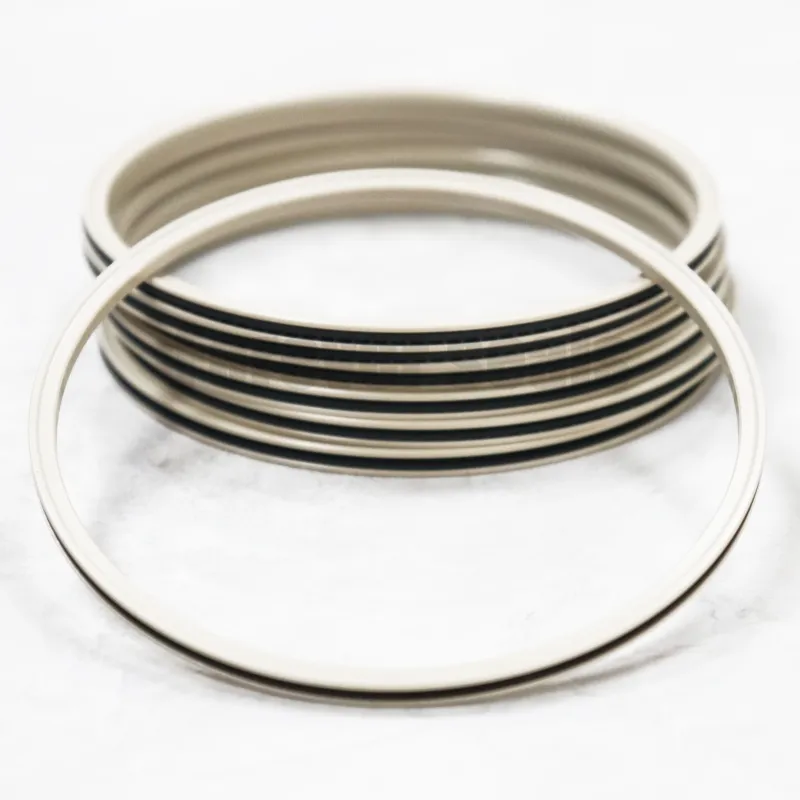 Products Spring Energized Seals Company 2