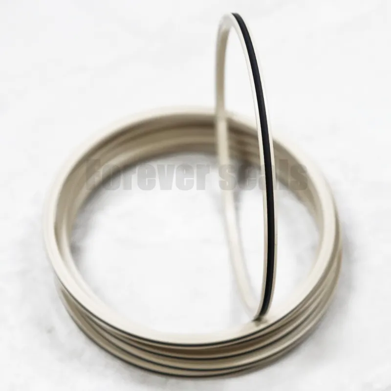 Products Spring Energized Seals Company 3