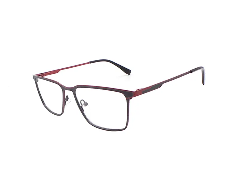 Stainless Steel Eyeglass Frames P-S90450 Wholesale - Quick Wonder 5