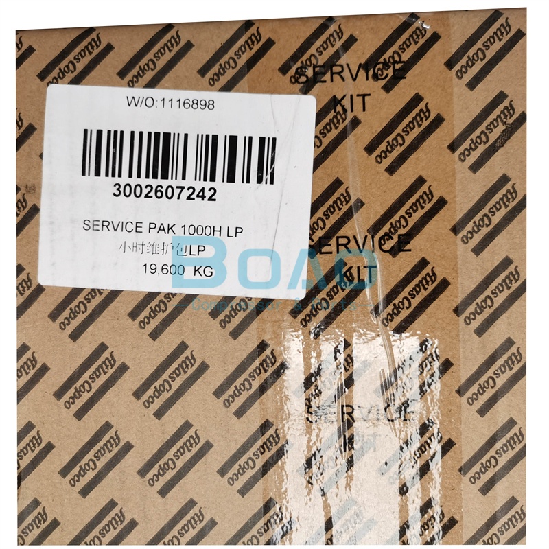 Kit de mantenimiento Atlas Copco Air Compressor 1000H 3002607242