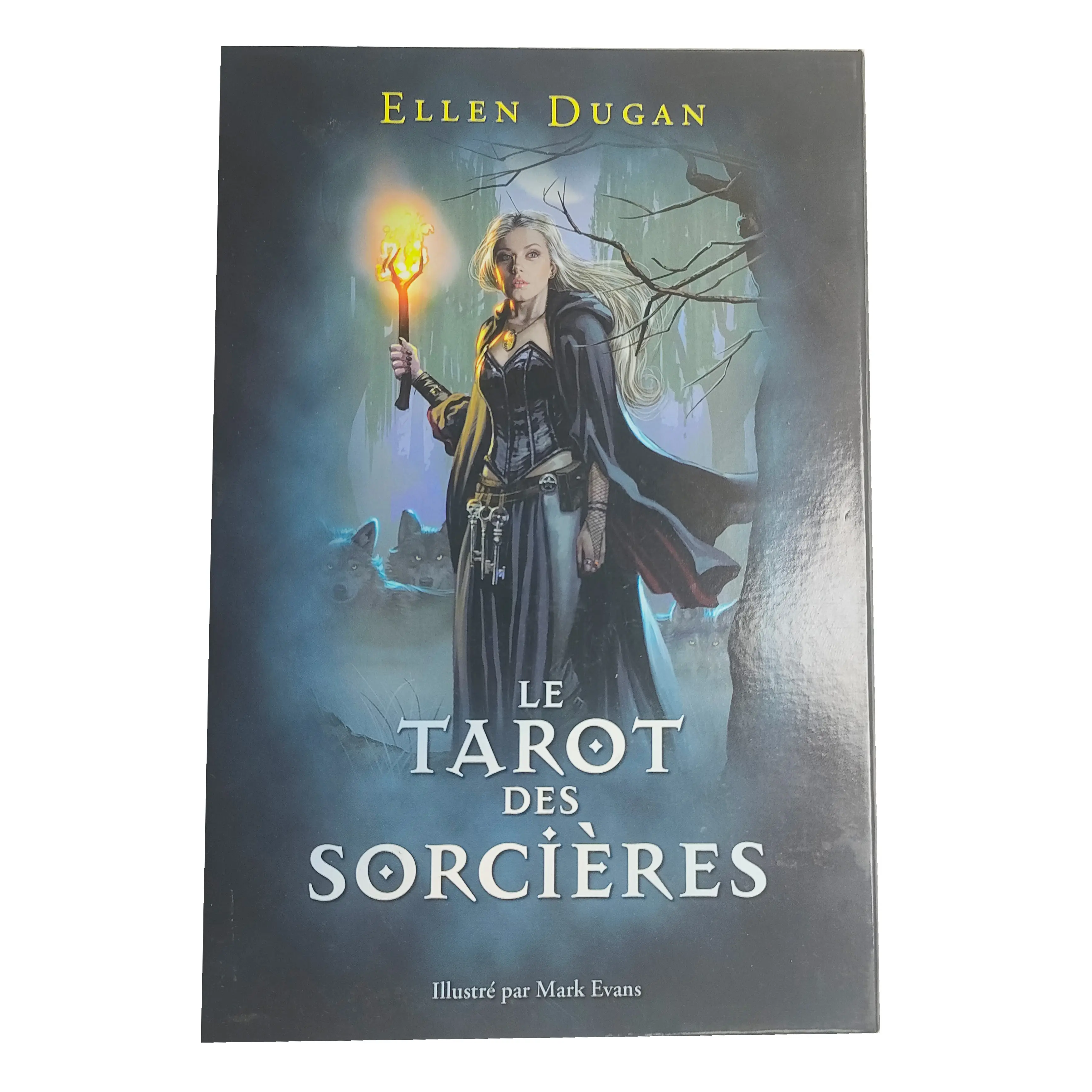 Benutzerdefinierte Tarotkarten Tarotkarten Einführung drucken 1