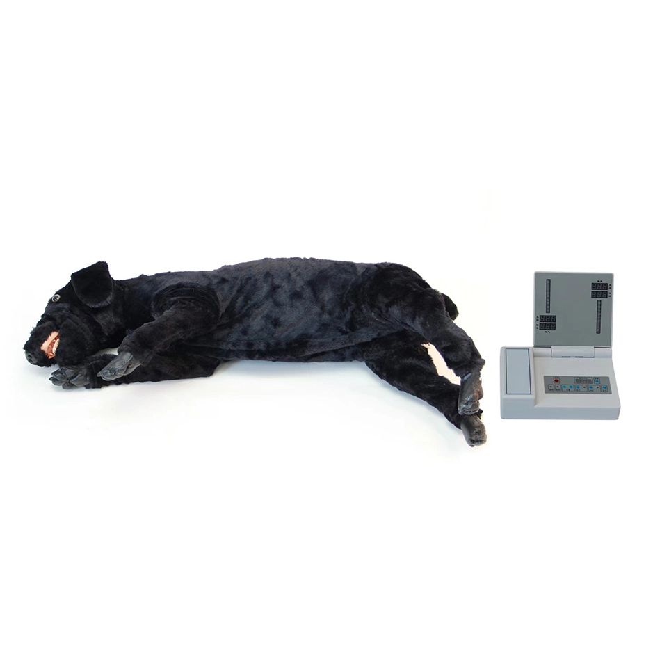 Modelo de RCP de cão eletrônico avançado | Innkom 1