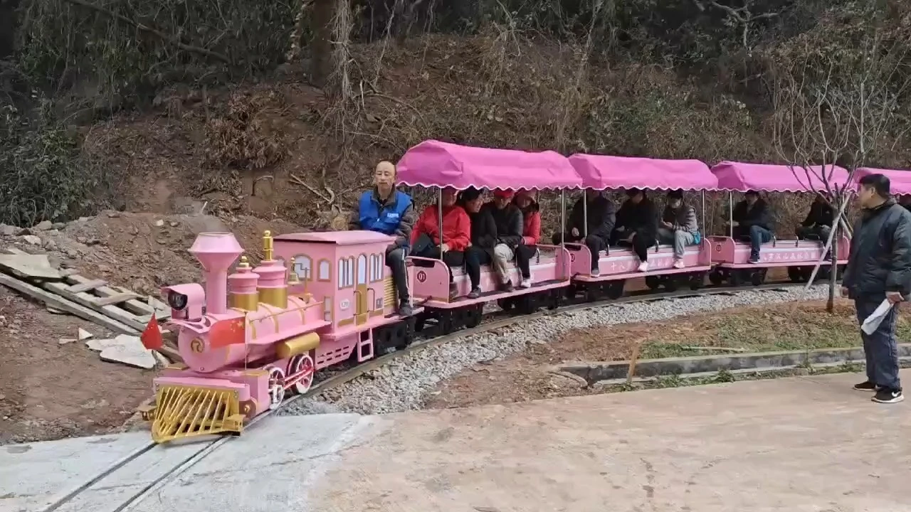 LT-8105A Track Sightseeing Train 1