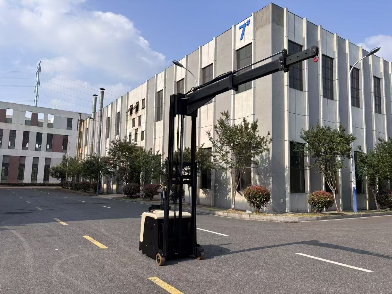 New 200 kg Lifting Capacity 3000 mm Lifting Height Non-Standard Boom Telescopic Stacker Restaurant Manufacturing Plant Home Use 4