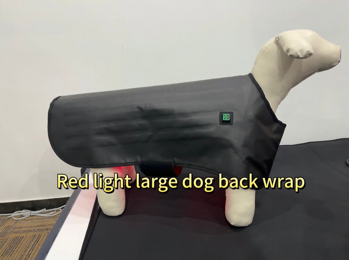XL Canine Phototherapy Wrap – Vet-Approved for Large Breeds