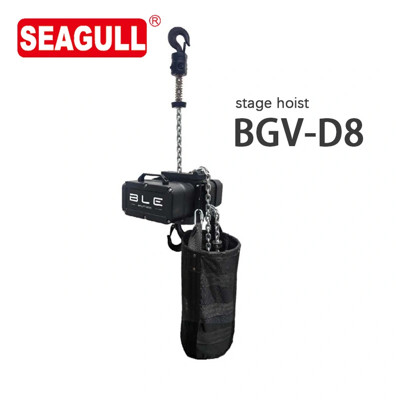 0,5-2,5 t Seagull/OEM Double Beam Crane Wooden Case Theater Catena Cavalca 1
