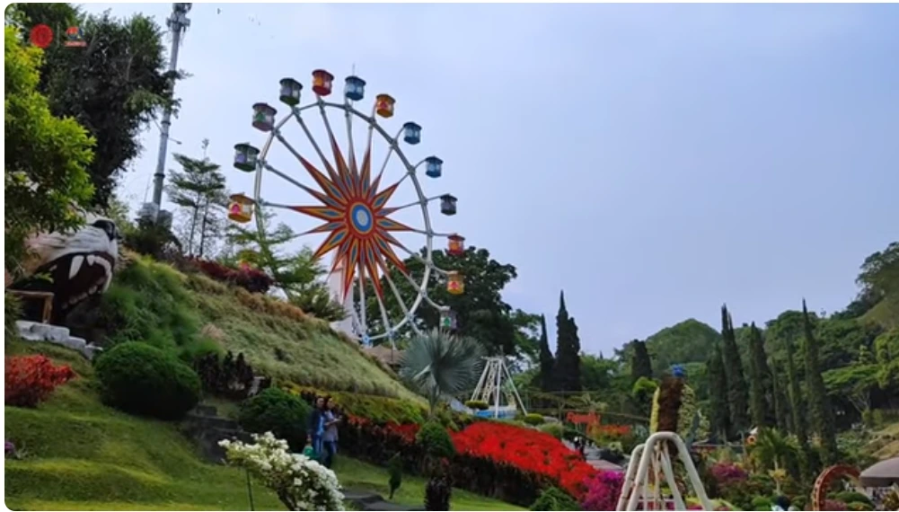 Panier à fleurs de 30 mètres de haut Wheel Ferris pour vues panoramiques | LMQ | Limeiqi 1