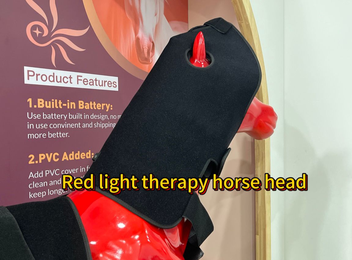 Equine Phototherapy Hood - Faster Recovery, Stronger Performance