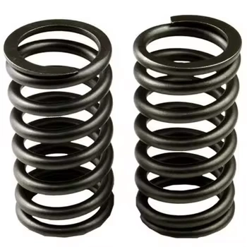 Compression Spring Supplier with 20 Years of Experience 1