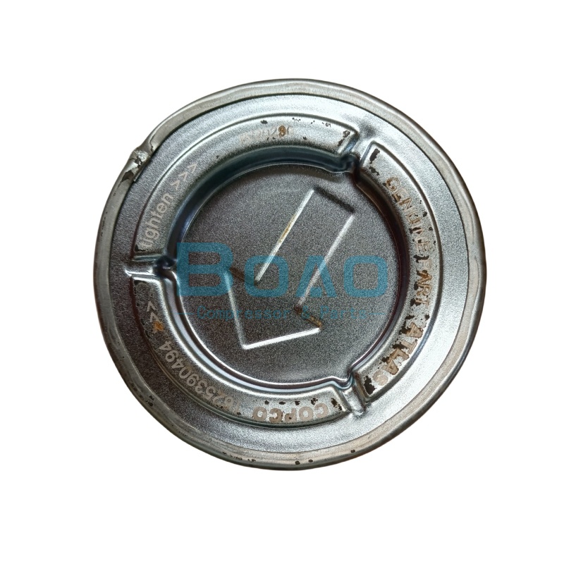 Atlas Copco GHS Вакуумный насос нефтяной и газовой сепаратор 1625390494 4