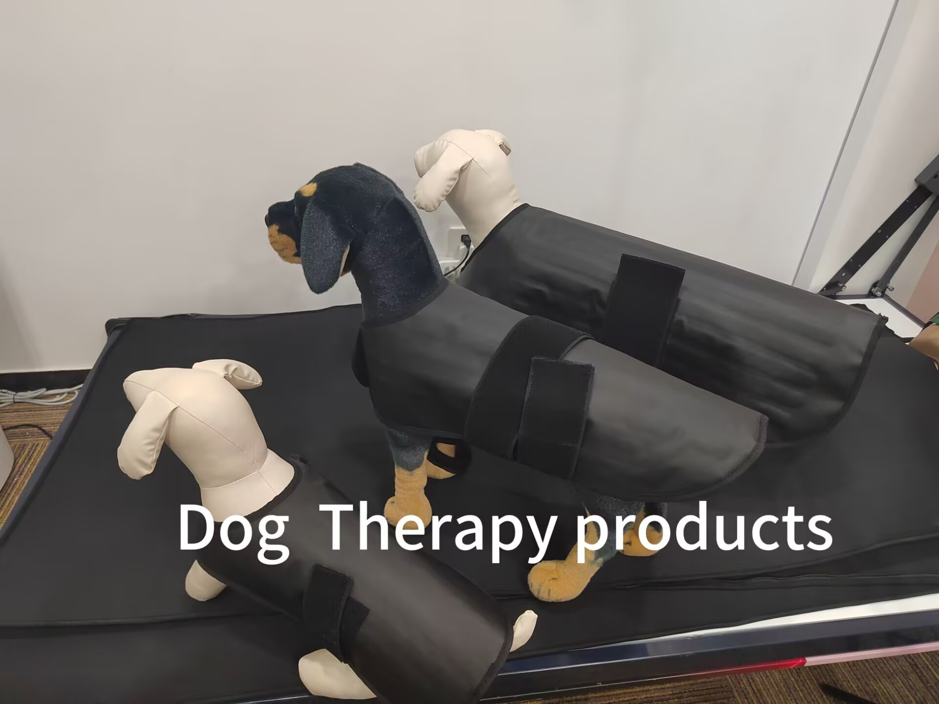 Veterinary-Grade Red Light Therapy Belt for Dogs