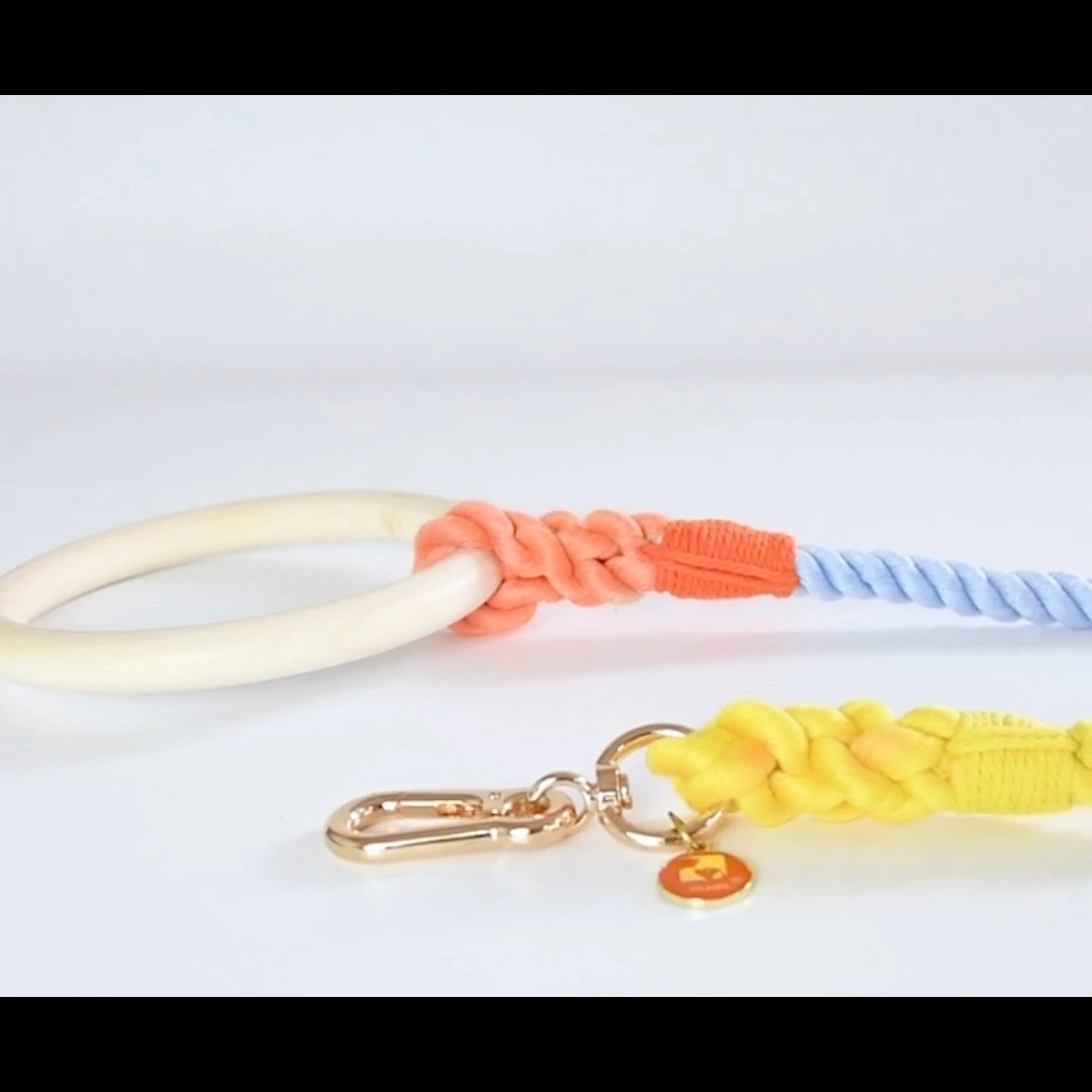 Set di guinzagli di pet collare di lusso di colore brillante con manico in legno 1