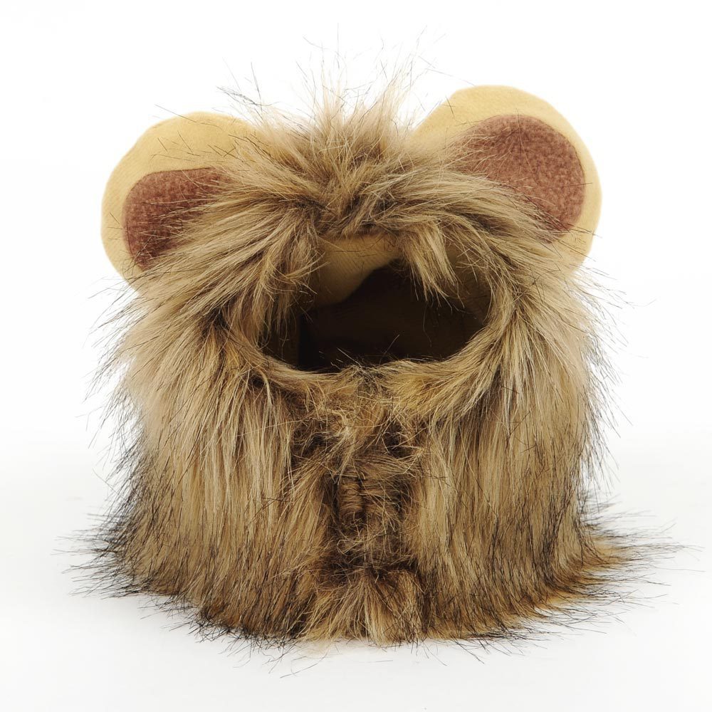 Halloween Costume for Cats and Dogs