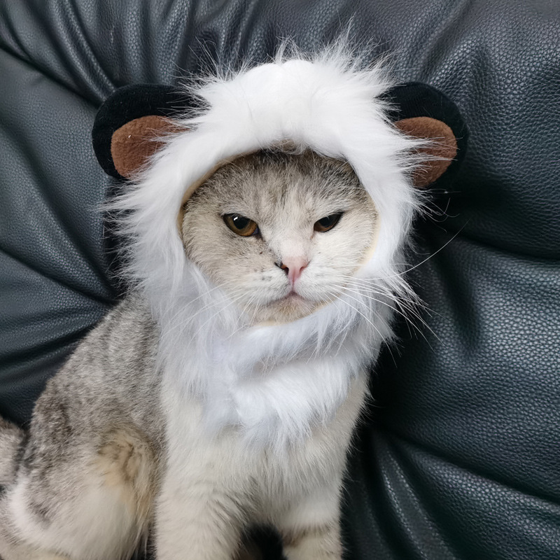 Halloween Costume for Cats and Dogs