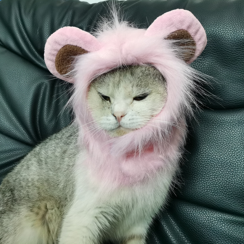 Halloween Costume for Cats and Dogs