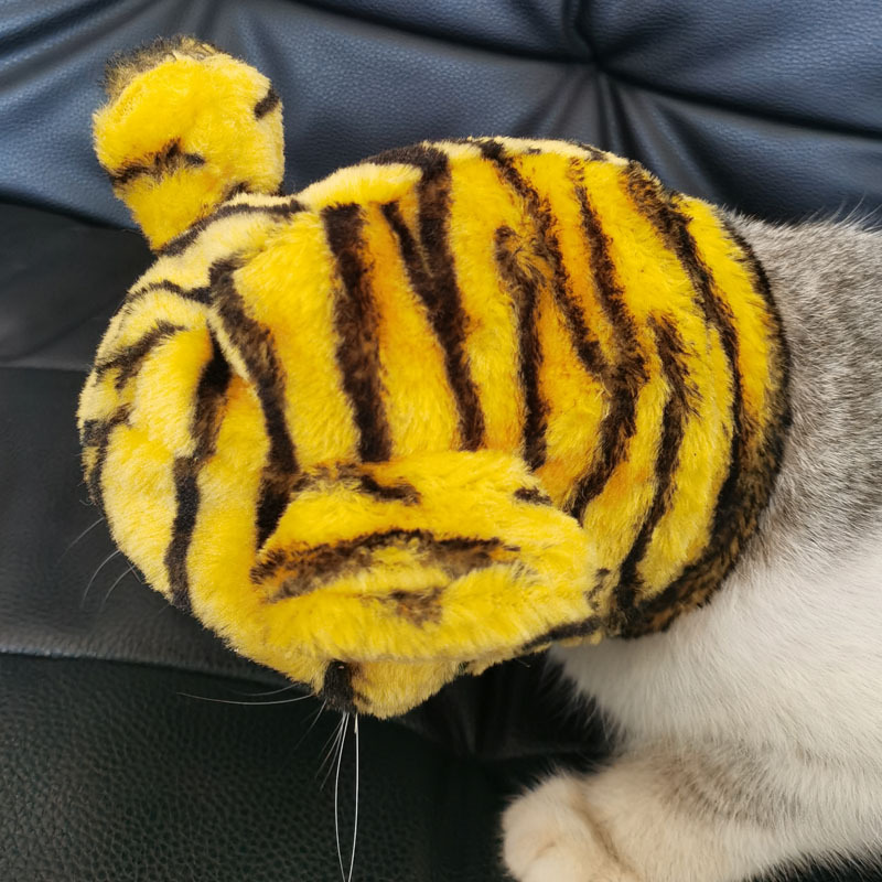 Halloween Costume for Cats and Dogs