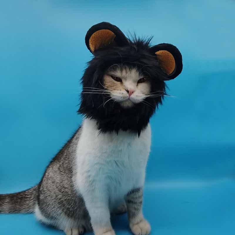 Halloween Costume for Cats and Dogs