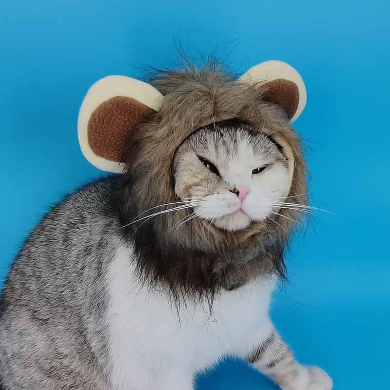 Halloween Costume for Cats and Dogs