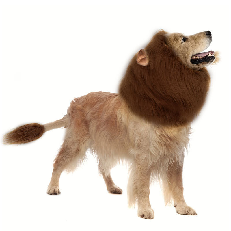 Halloween Costume for Cats and Dogs