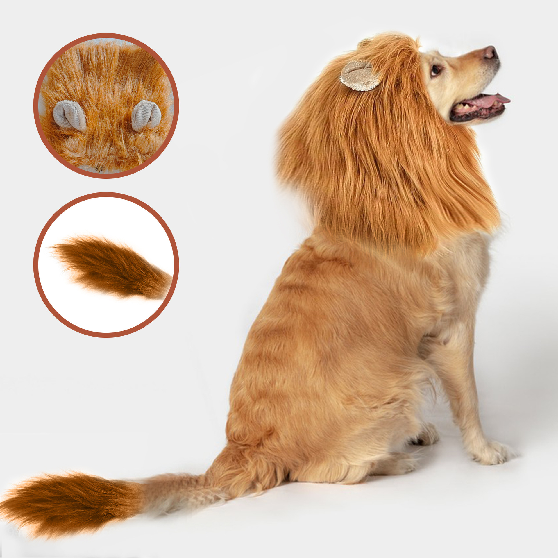 Halloween Costume for Cats and Dogs
