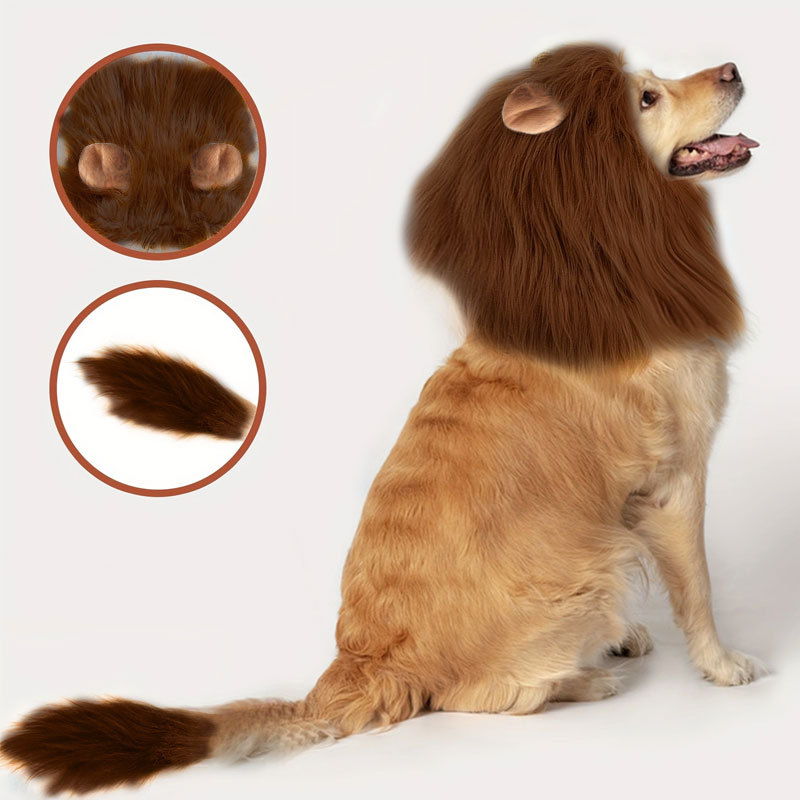 Halloween Costume for Cats and Dogs
