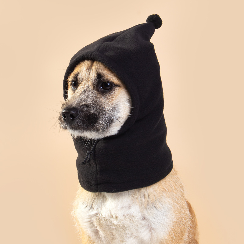pet hat