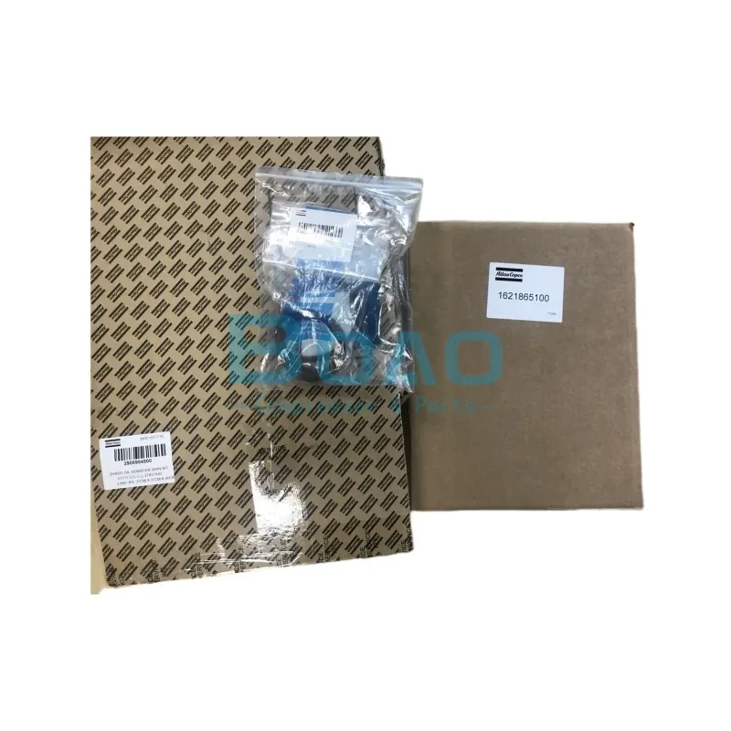 Atlas Copco 2906904500 OIL DEMISTER SERV.KIT for Stationary Oil-free Compressors 5