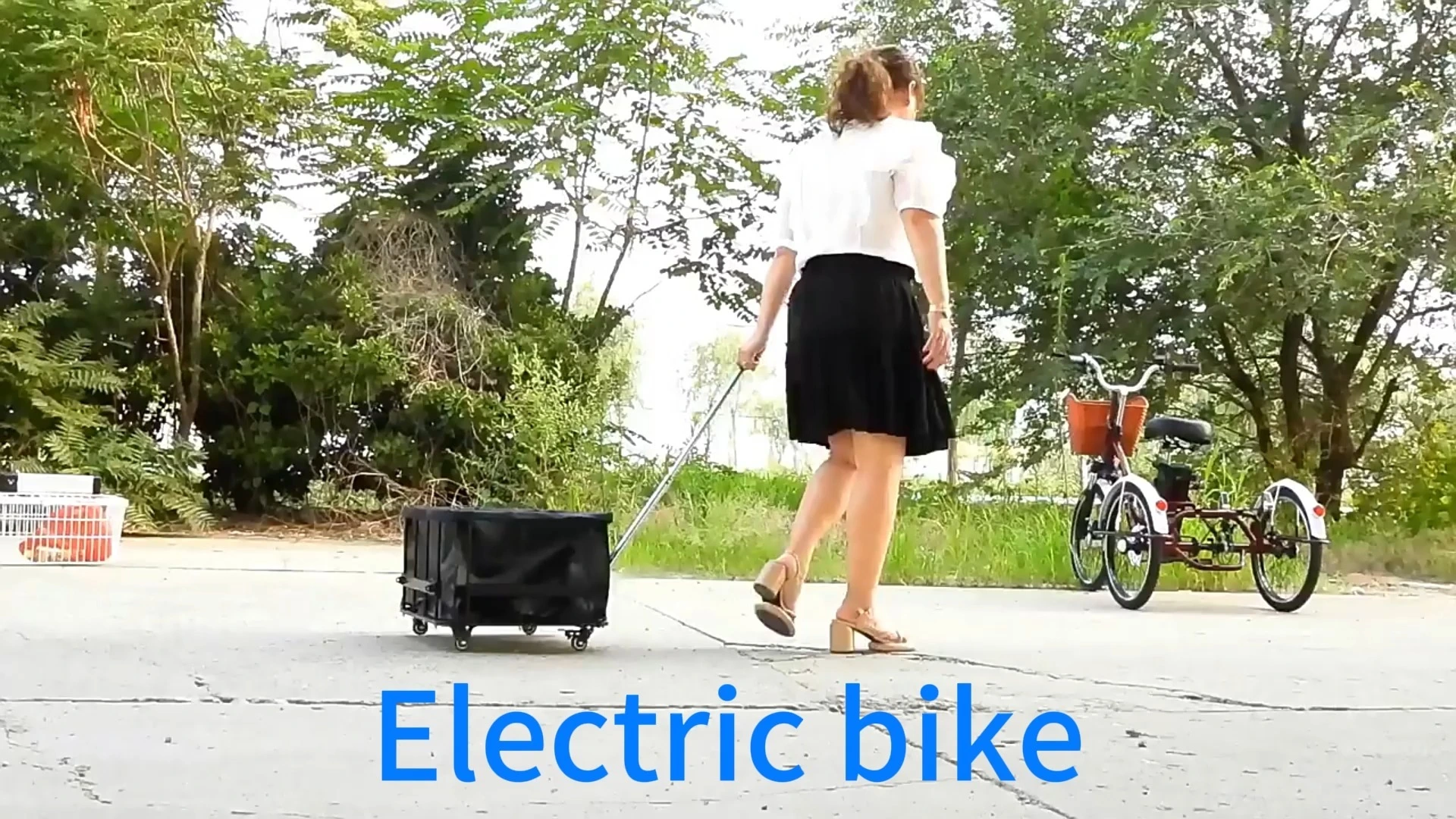 Electric Three-wheeled Passenger and Cargo Battery Car for Small Household, Lady, Household Elderly Pull Goods 1