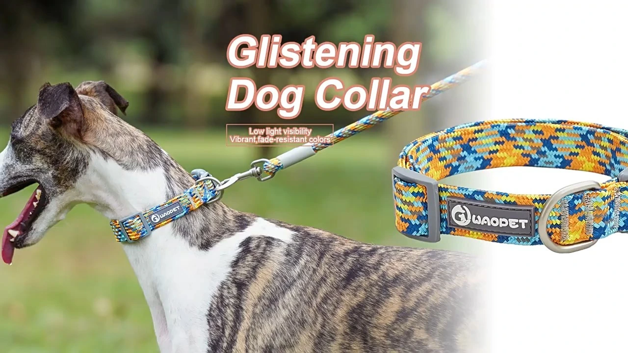 Innovative design dog collar leash harness 3 in 1 set 1