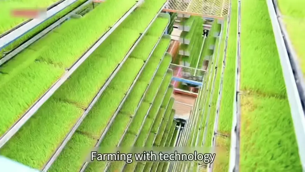 スマートインテリジェンスNFT水耕栽培プランター スマートインテリジェンスNFT水耕栽培プランター ガーデニングシステム