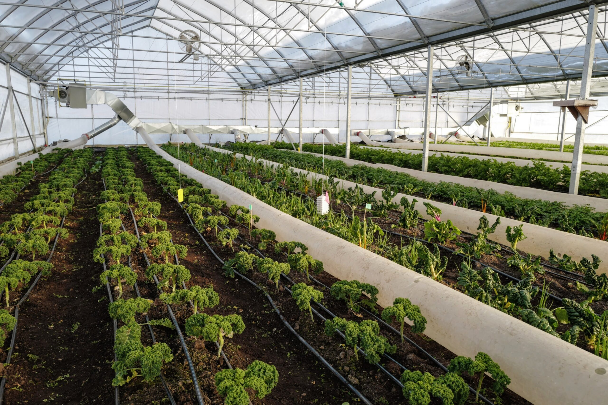 What Types of Sensors Are Best for Greenhouse Monitoring? 1
